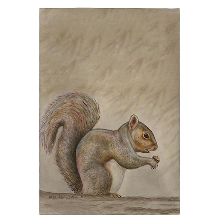 Betsy Drake Betsy Drake GT314 Squirrel Guest Towel - 20 x 20 in. GT314